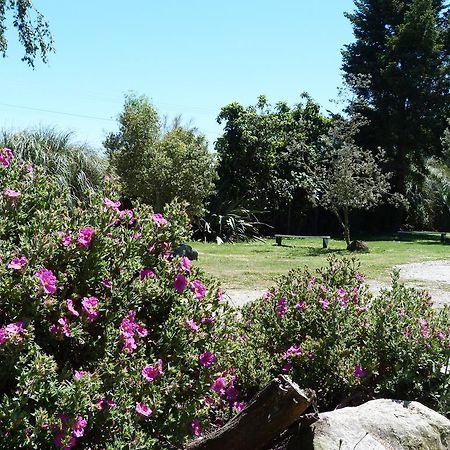 Fernwood Holiday Park Motueka Pokoj fotografie