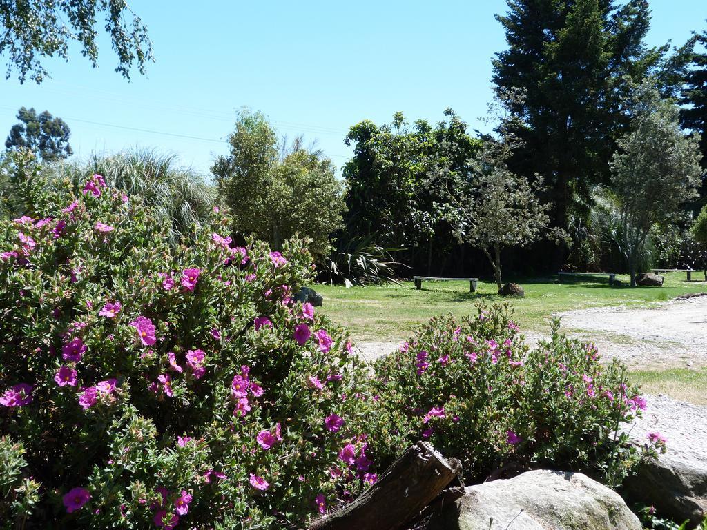 Fernwood Holiday Park Motueka Pokoj fotografie
